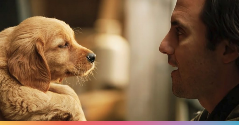Mi Amigo Enzo: El amor por los perros y la fórmula 1