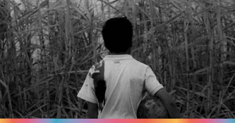 Smartfilms Paraguay: Lo mejor de la primera edición del festival