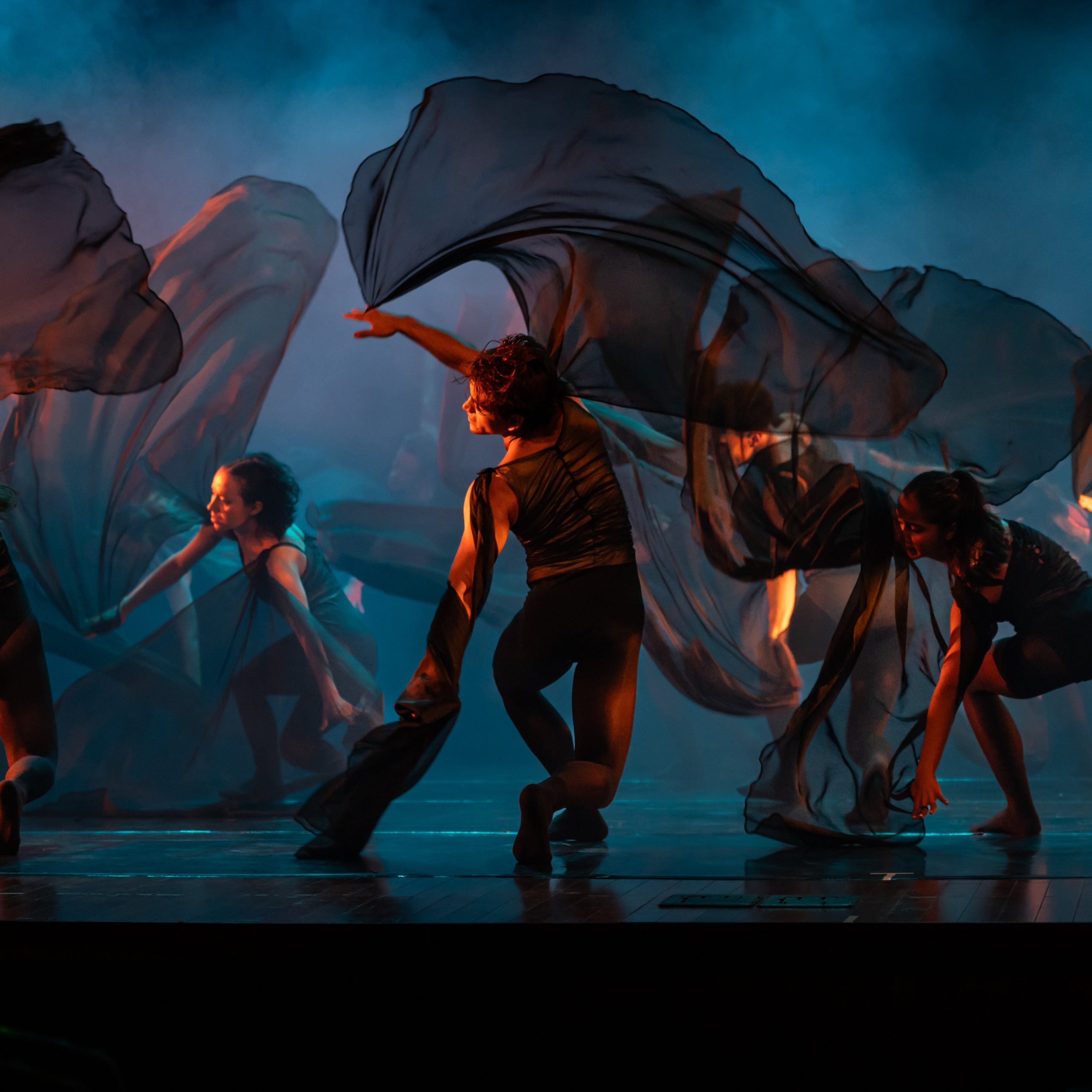 UNico's Ballet