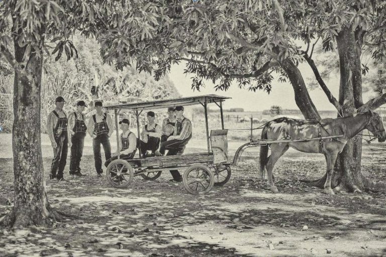 Menonitas: al sur de Durango - fotografías de Henk Bleeker en BGN/ARTE