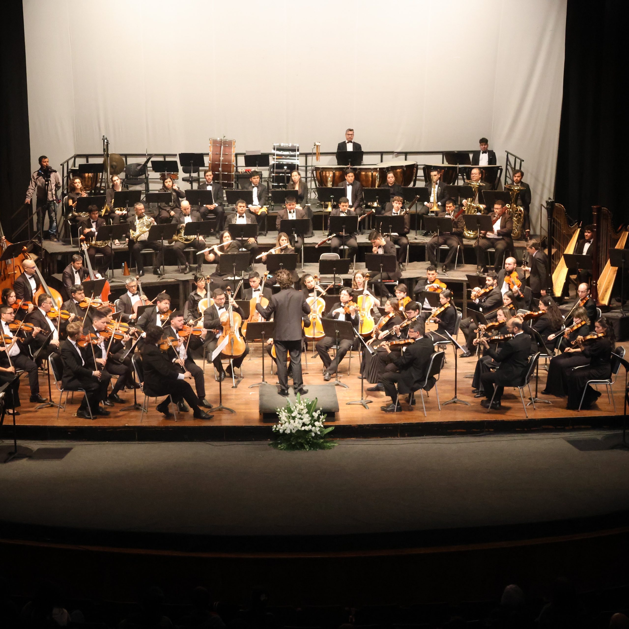 «Sinfonía de Película»: la Orquesta Sinfónica Nacional y Andrea Valobra en el Teatro Municipal
